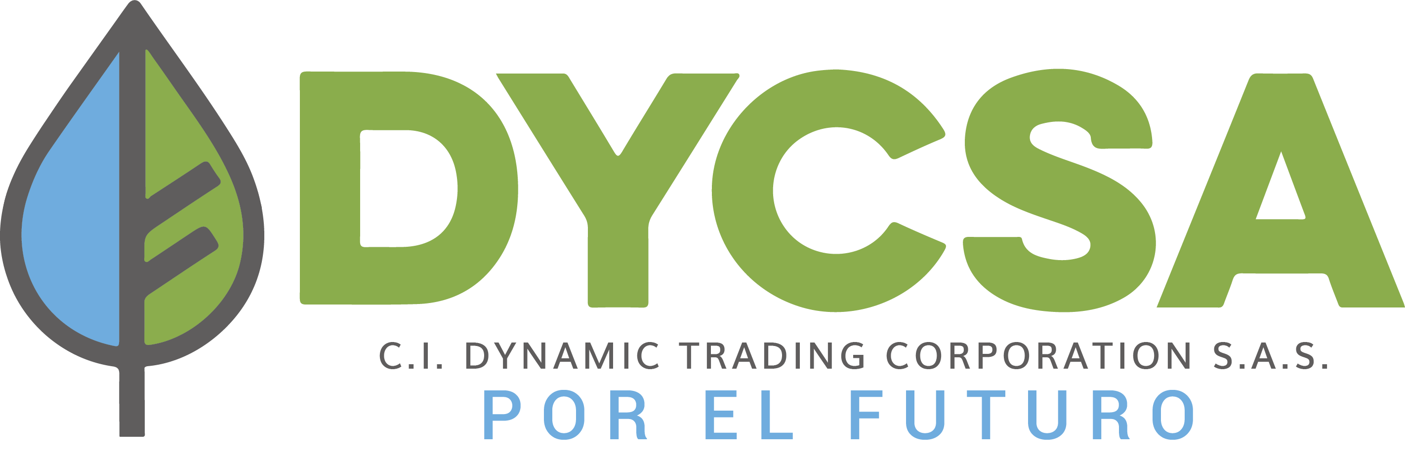 logo_dycsa