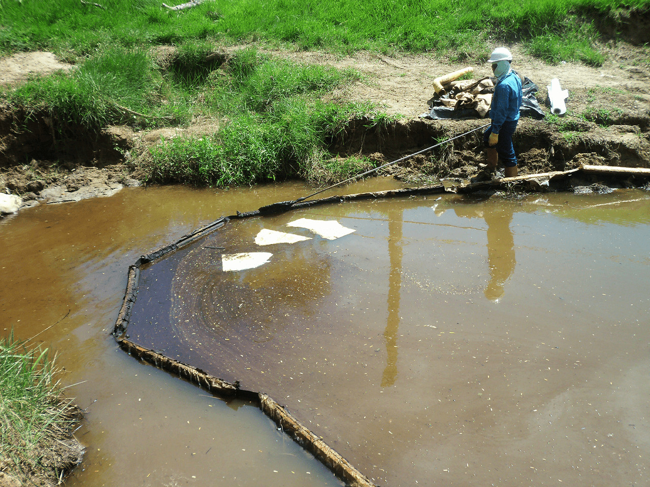 Bioremediacion